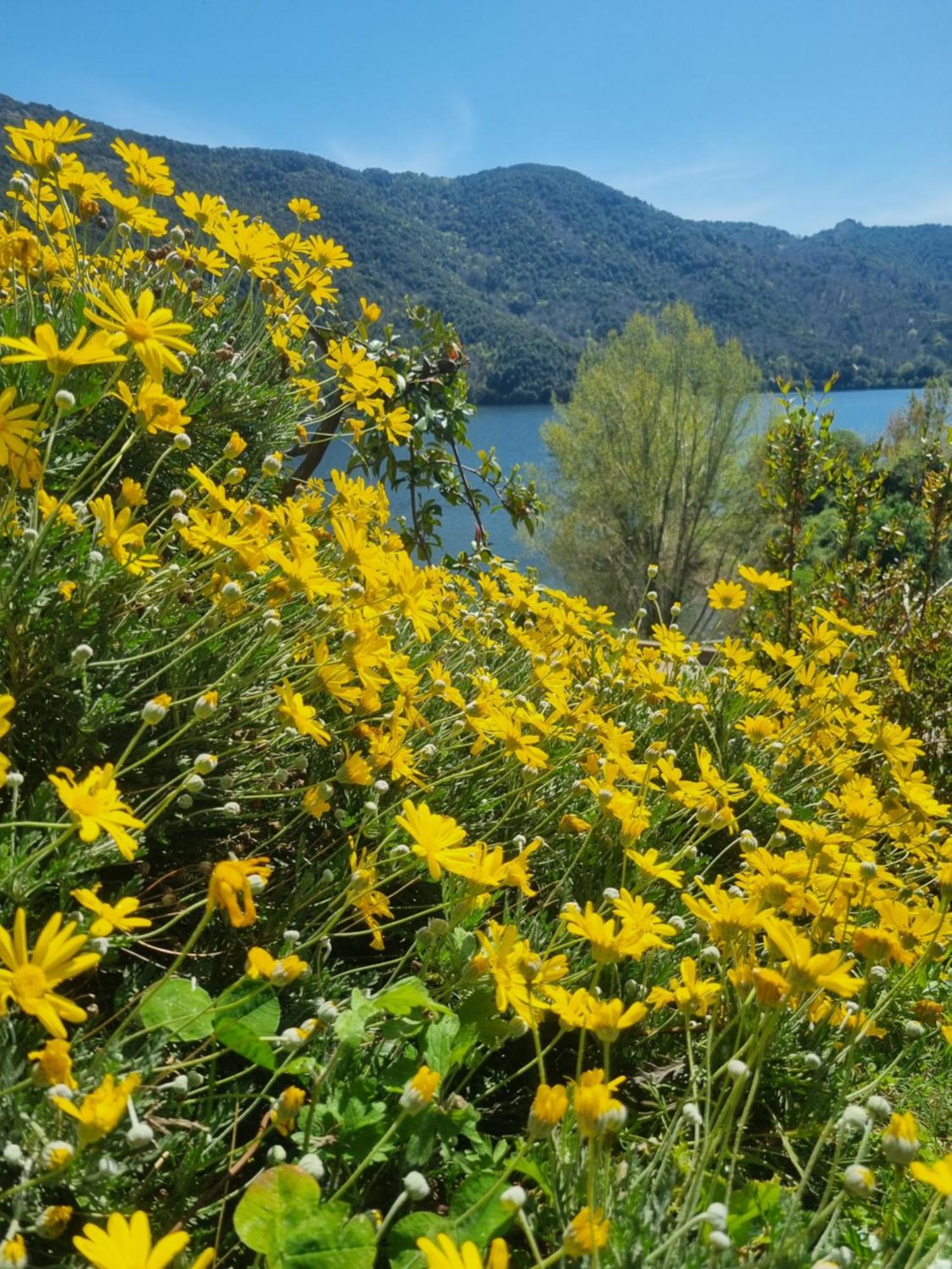 Cote Lac Tolla 외부 사진