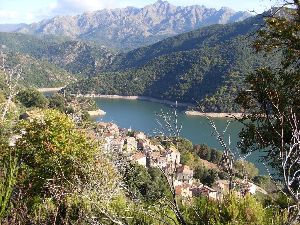 Cote Lac Tolla 객실 사진