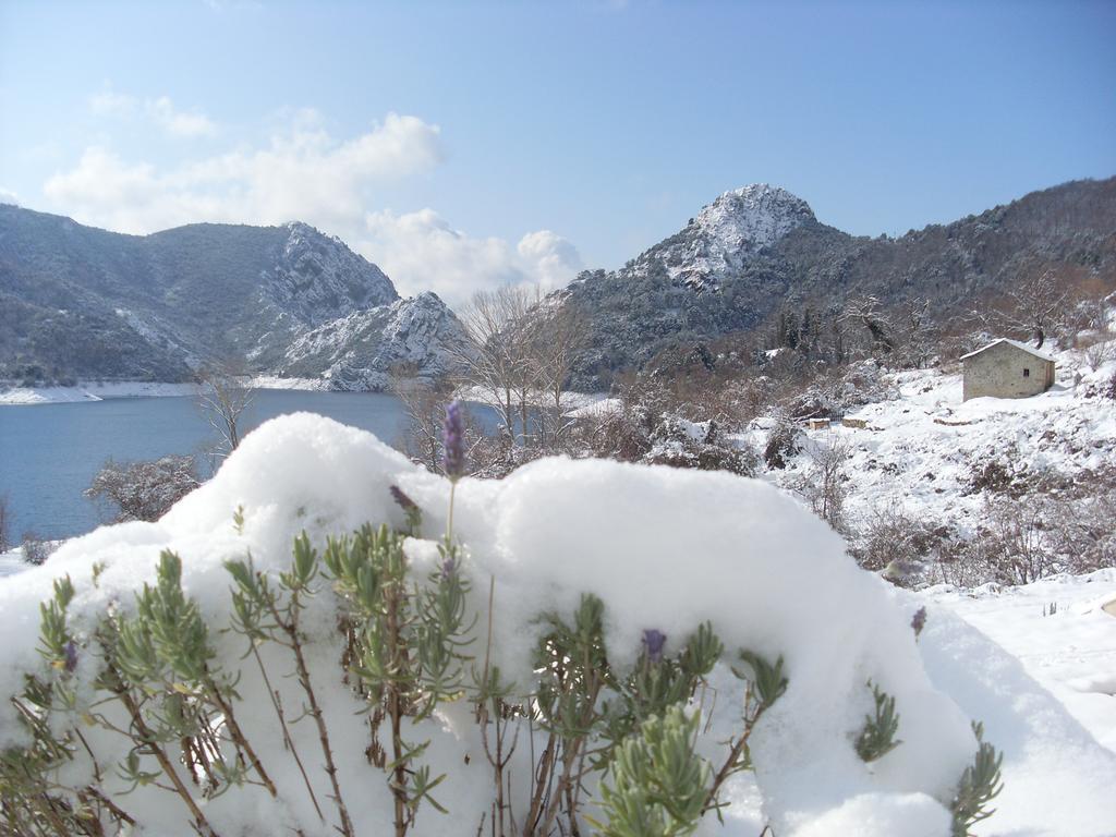 Cote Lac Tolla 객실 사진
